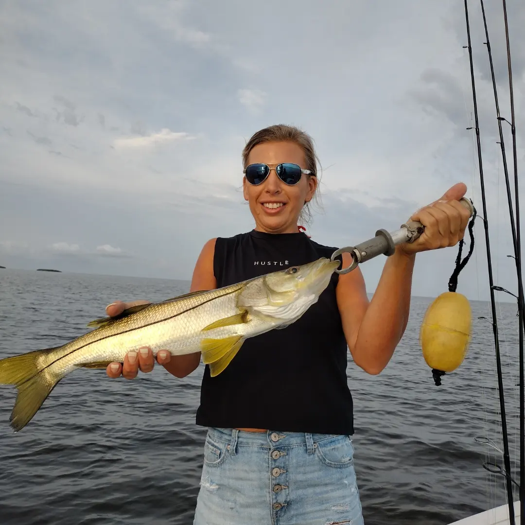 Snook Fishing, Crystal River