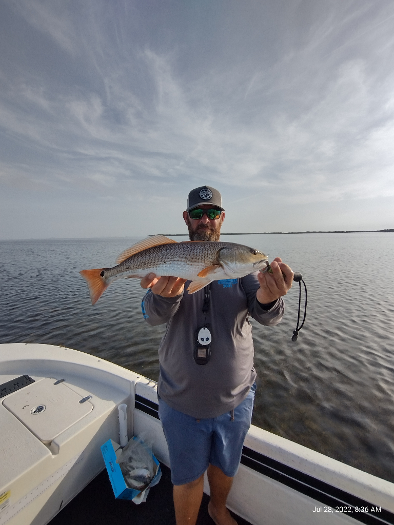 Crystal River Fishing for Redfish