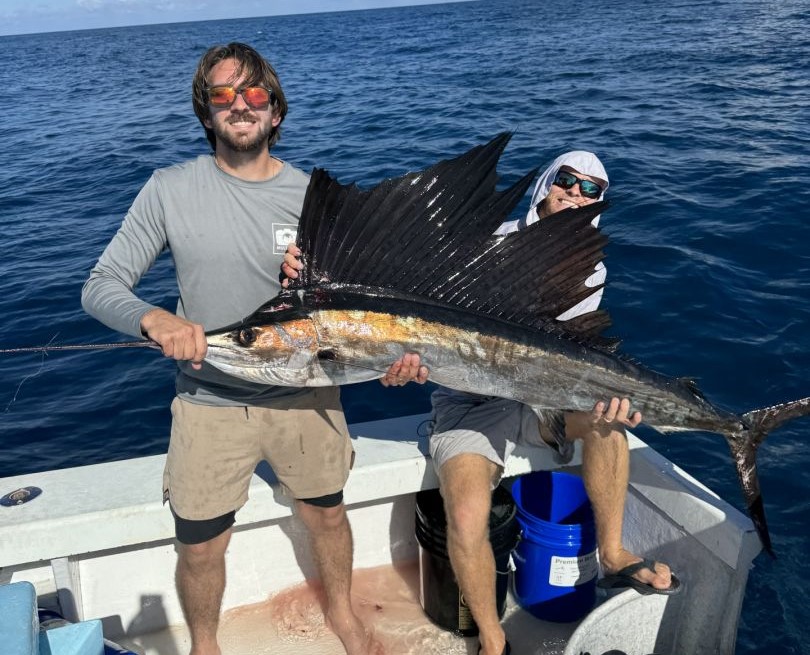 Photograph of a single Atlantic Sailfish measuring 38 inches, caught while fishing in FL