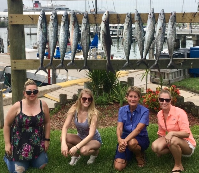 8 Atlantic Bonito fish caught in Port Canaveral