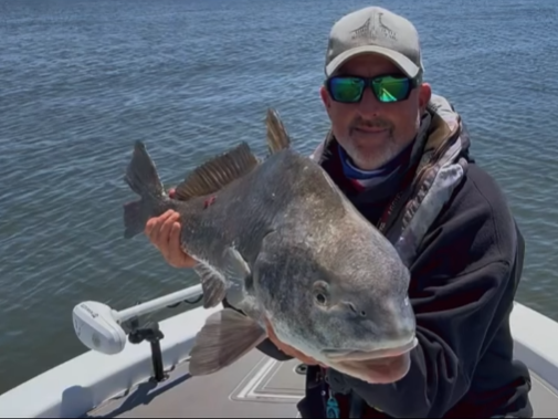 Black drum catch on fishing boat in Milton FL waters