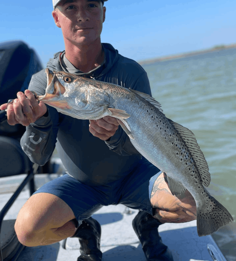 Sea Trout in Rockport