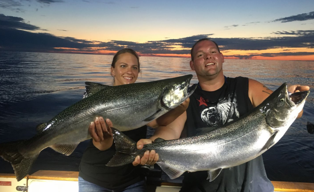 Two coho salmon, 37 inches long, caught in Michigan