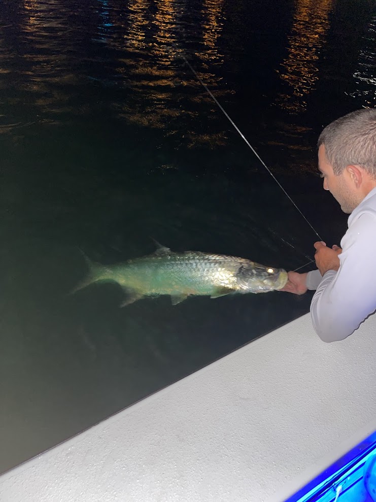 Tarpon fishing in FL