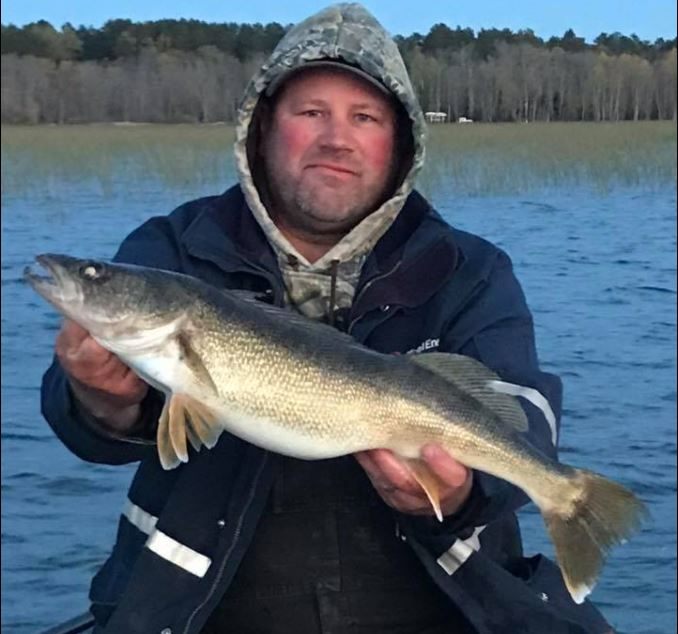 Sauger fish caught in Bemidji