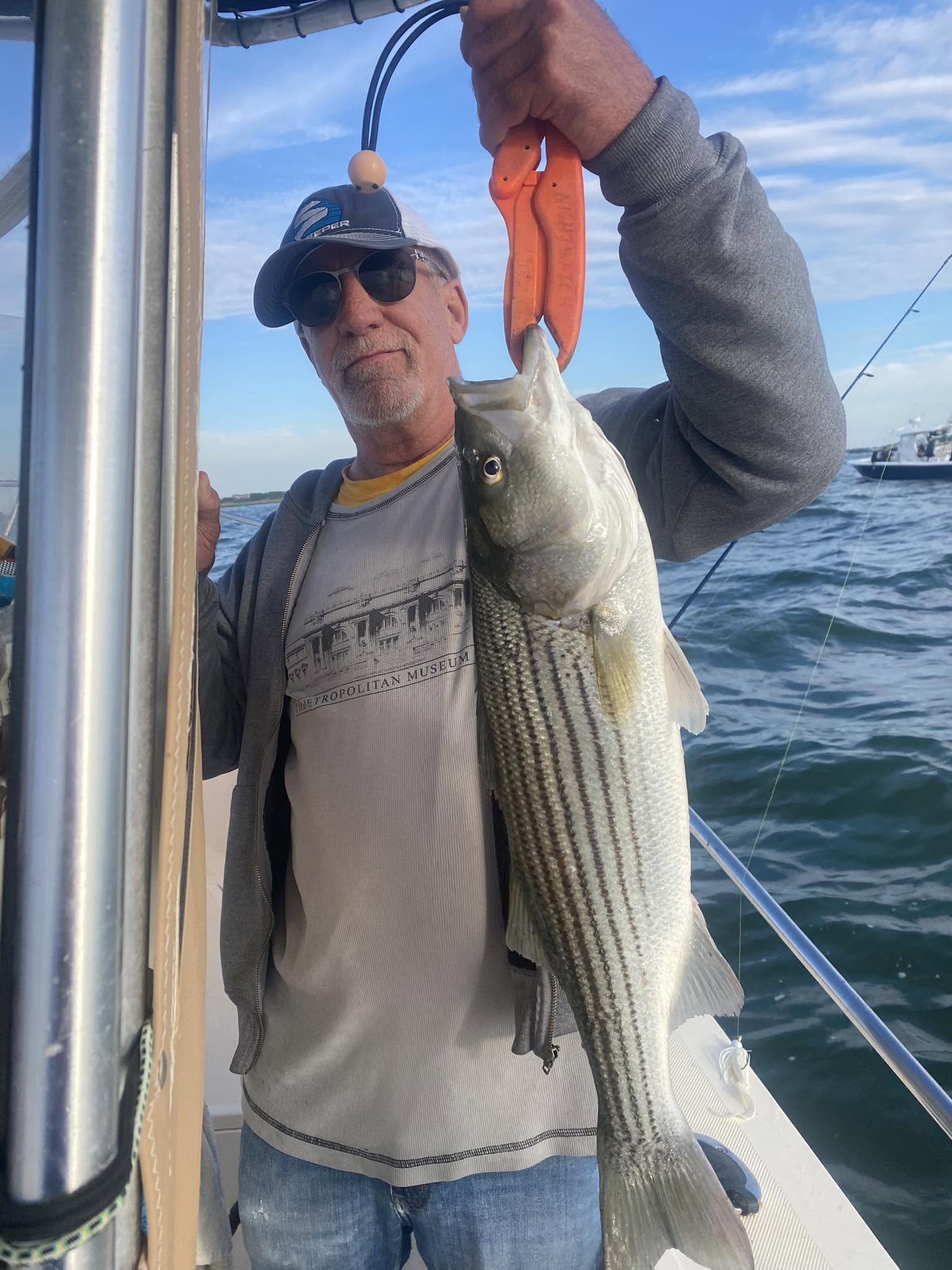 Striped bass caught fishing in Barnegat Light NJ waters