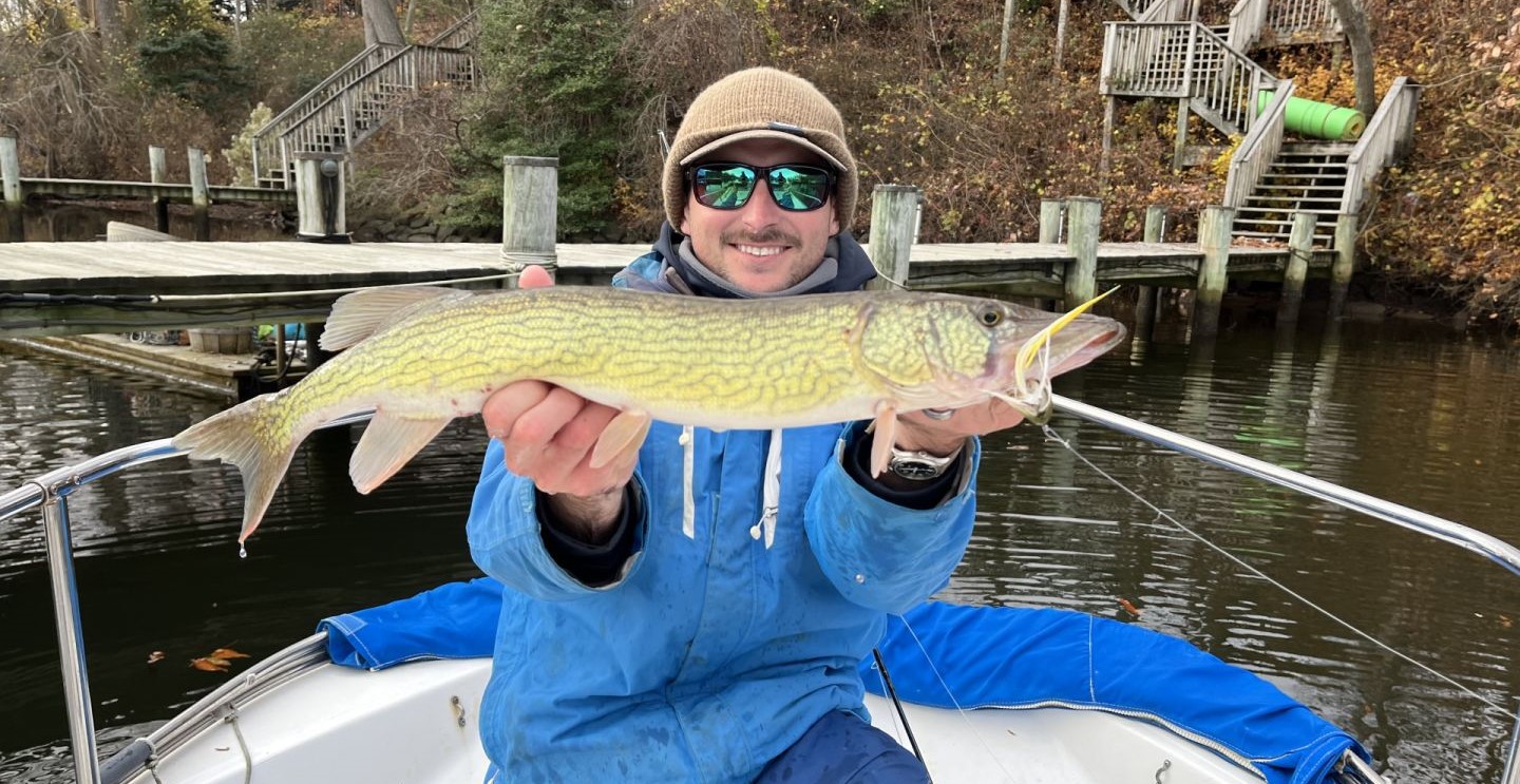 Caught a 27-inch chain pickerel in MD while fishing