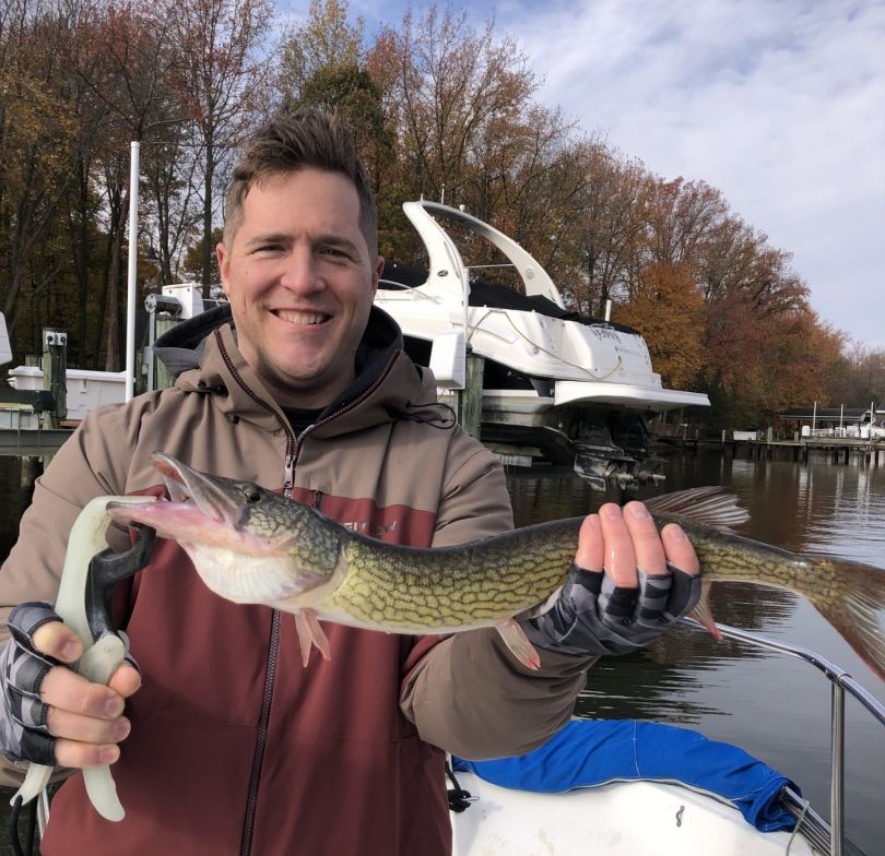 Angler catching a chain pickerel in MD