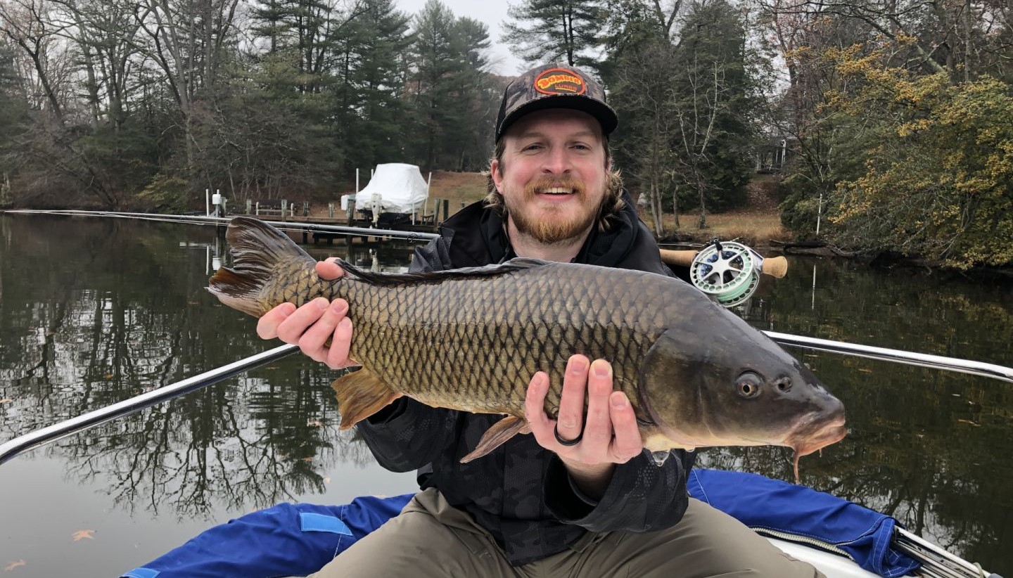 A big common carp caught while fishing in Annapolis