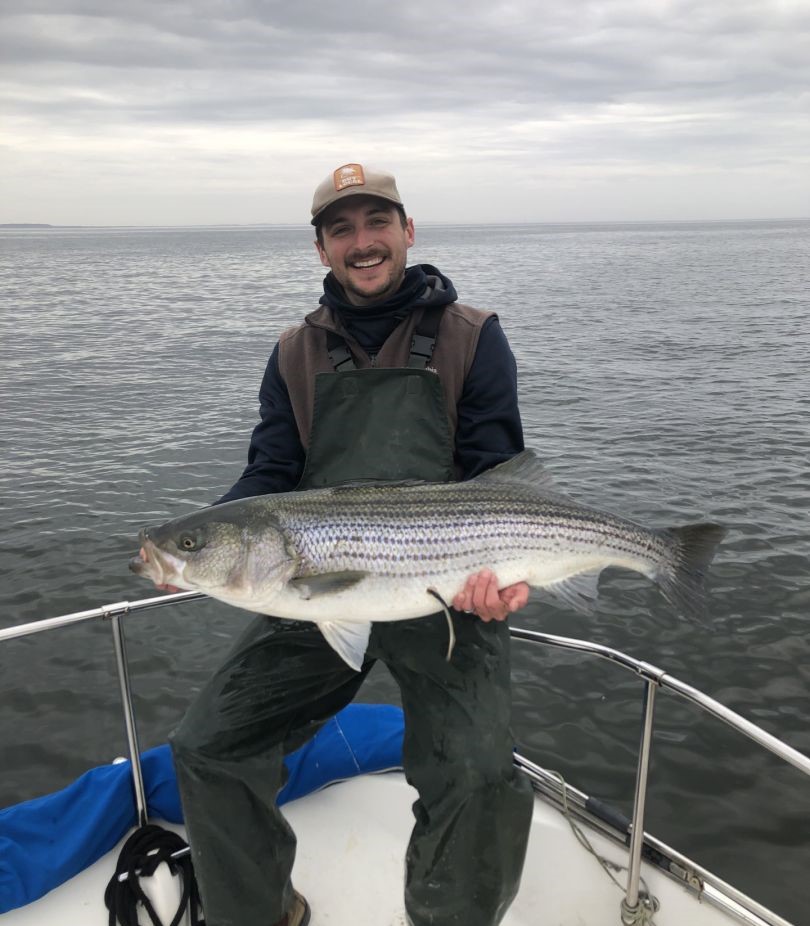 Striped bass caught while fishing in MD