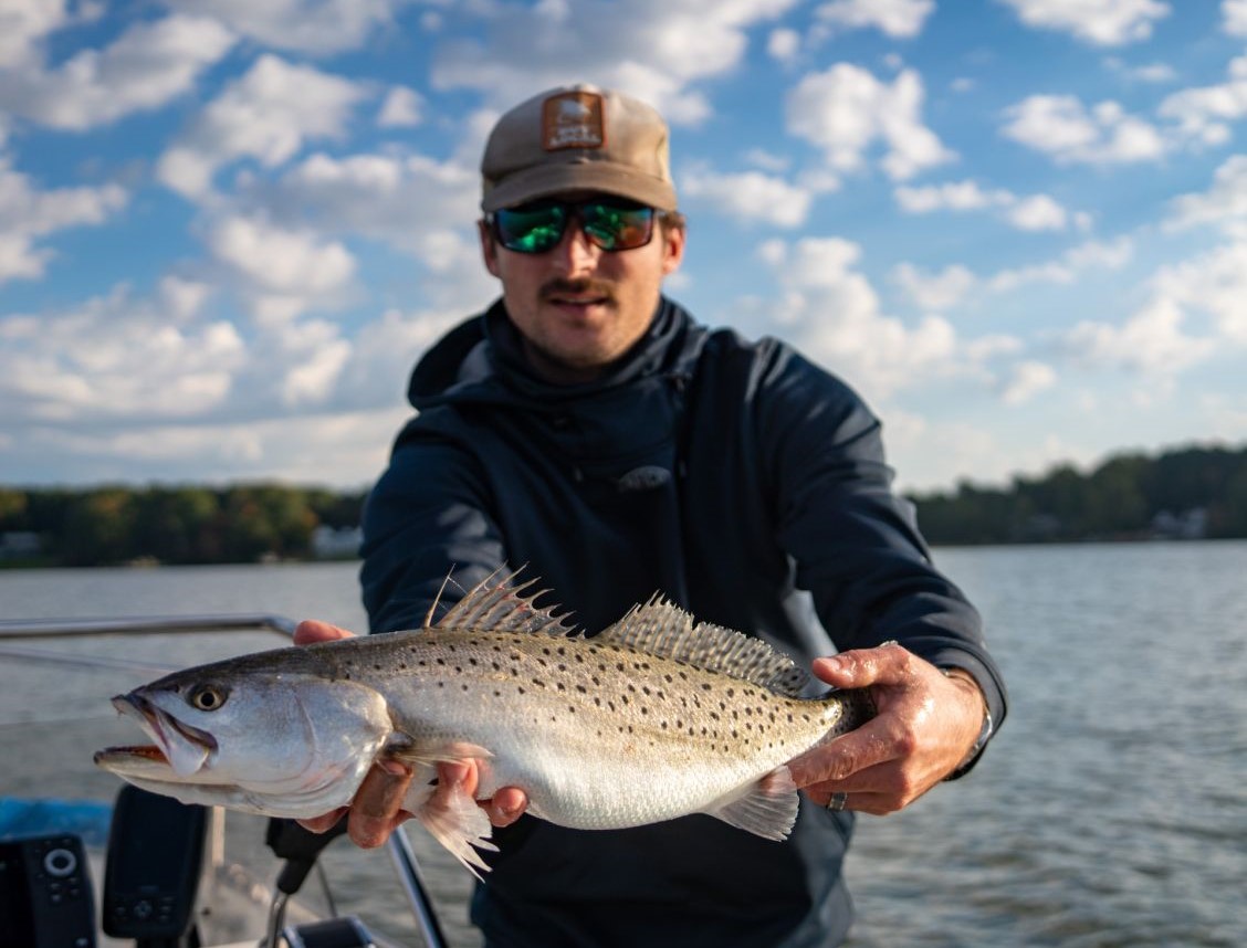 Spotted Weakfish caught in Annapolis