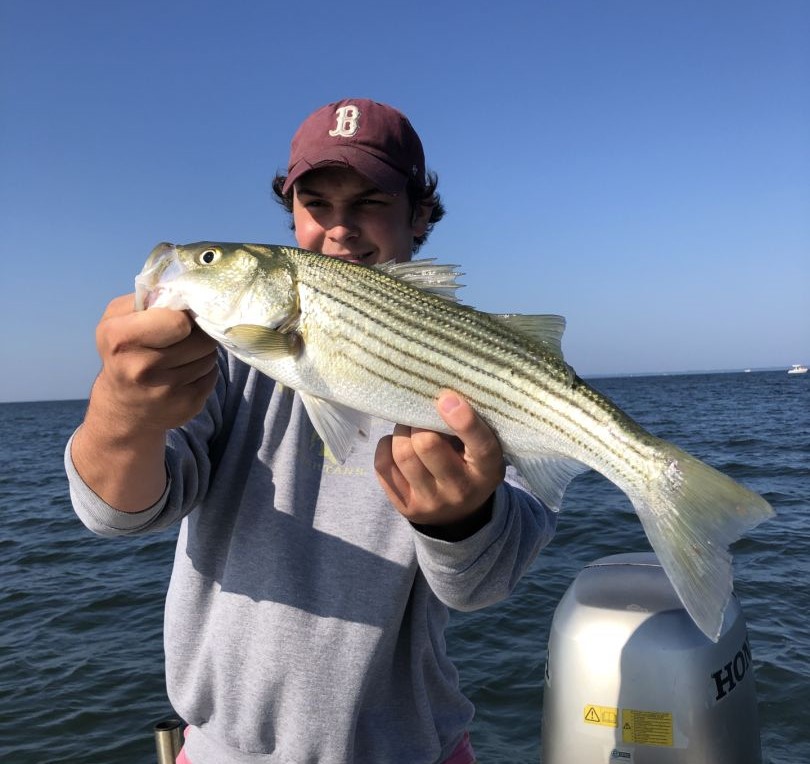 Striped Bass catch in Annapolis, MD