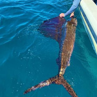 Fishing trip in FL
