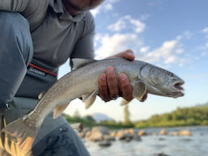 A beautiful fishing scene in AB