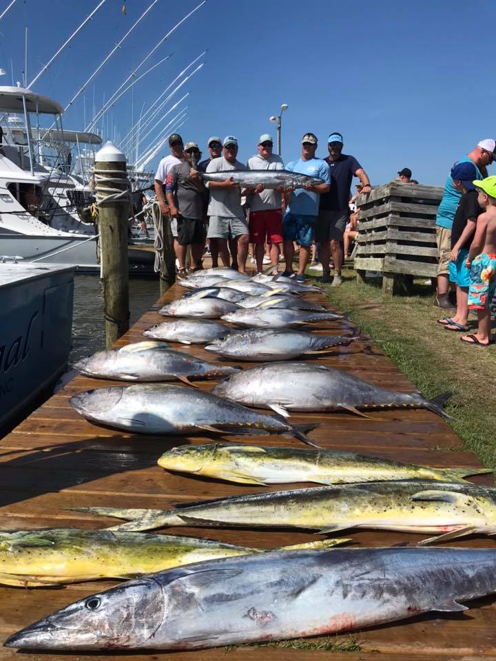 5 wahoo fish and yellowfin tuna caught in VA