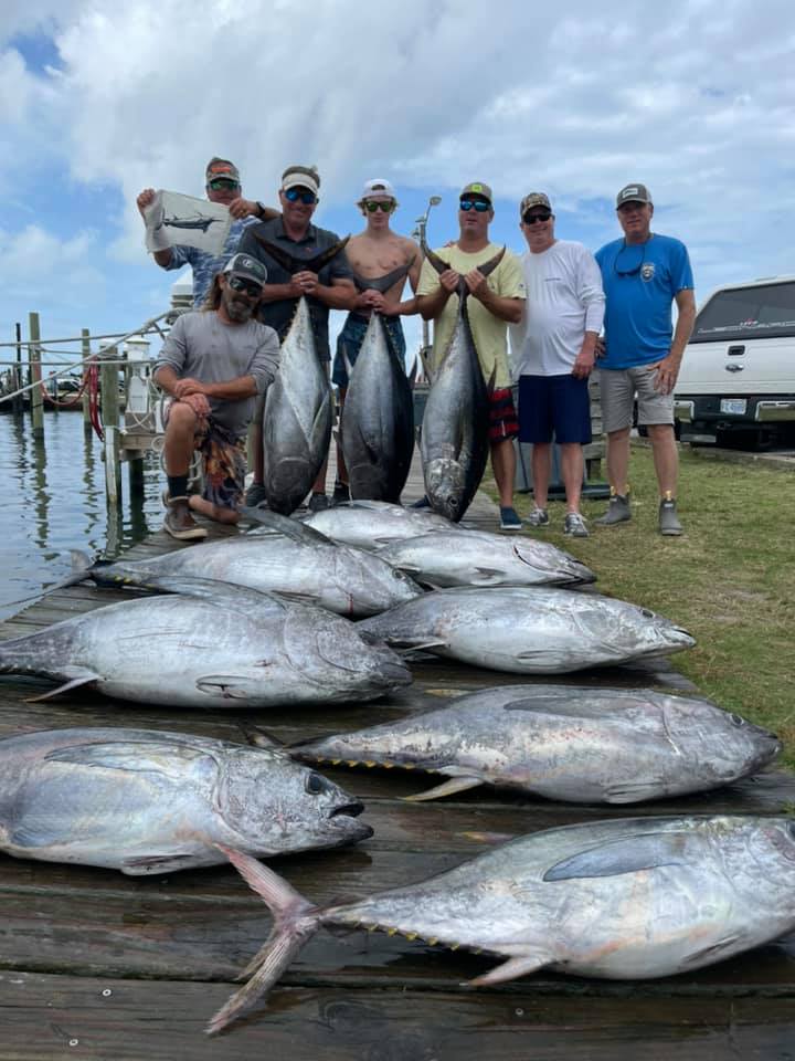 8 Blackfin Tuna and Yellowfin Tuna caught while fishing in Williamsburg