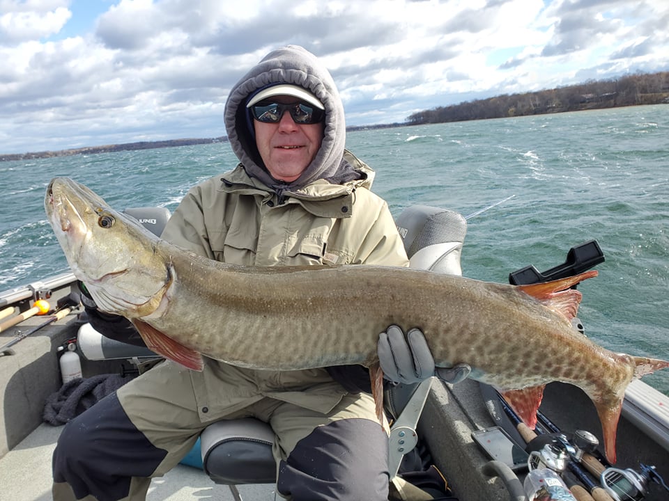 Caught a massive muskellunge in MN