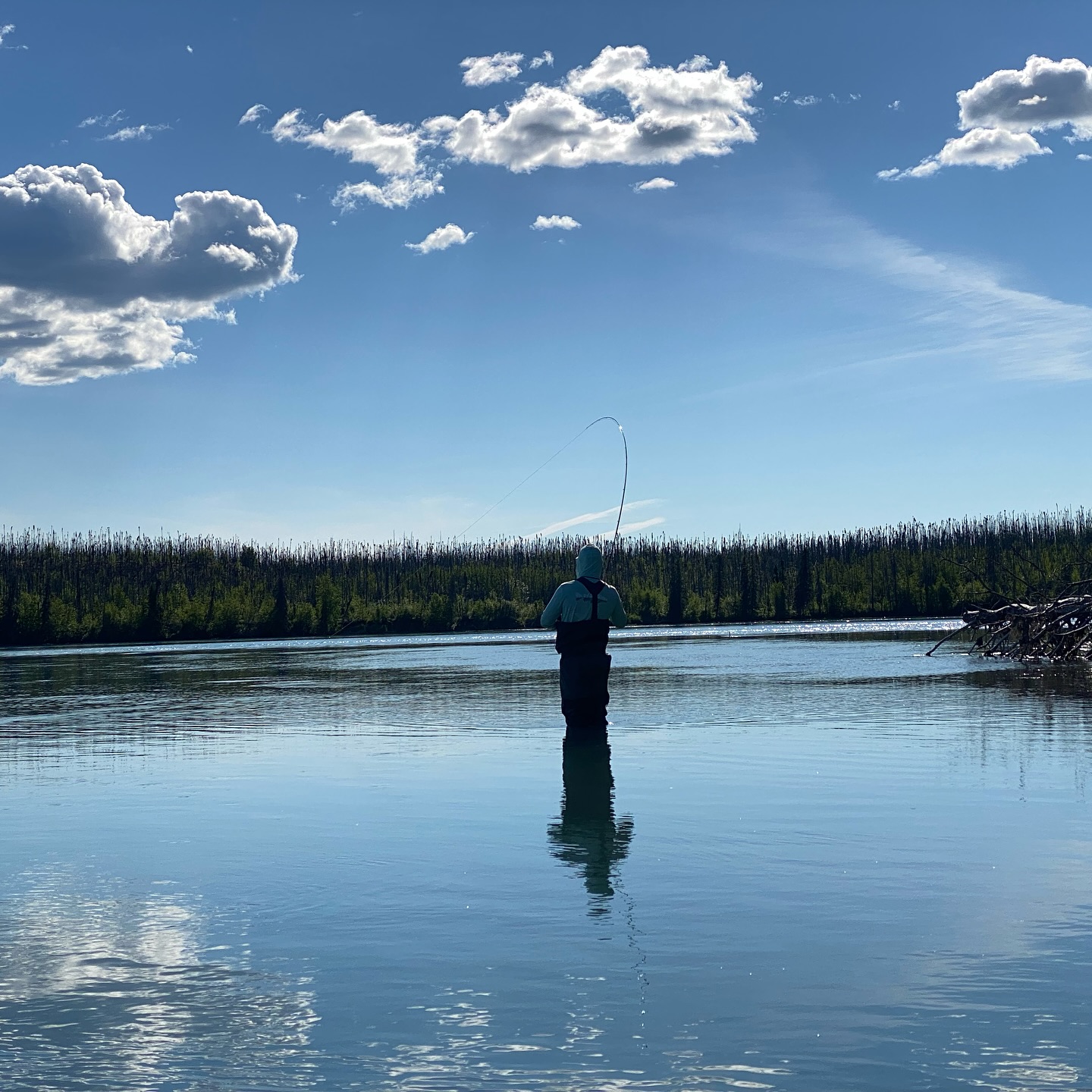 Scenic landscape in AK