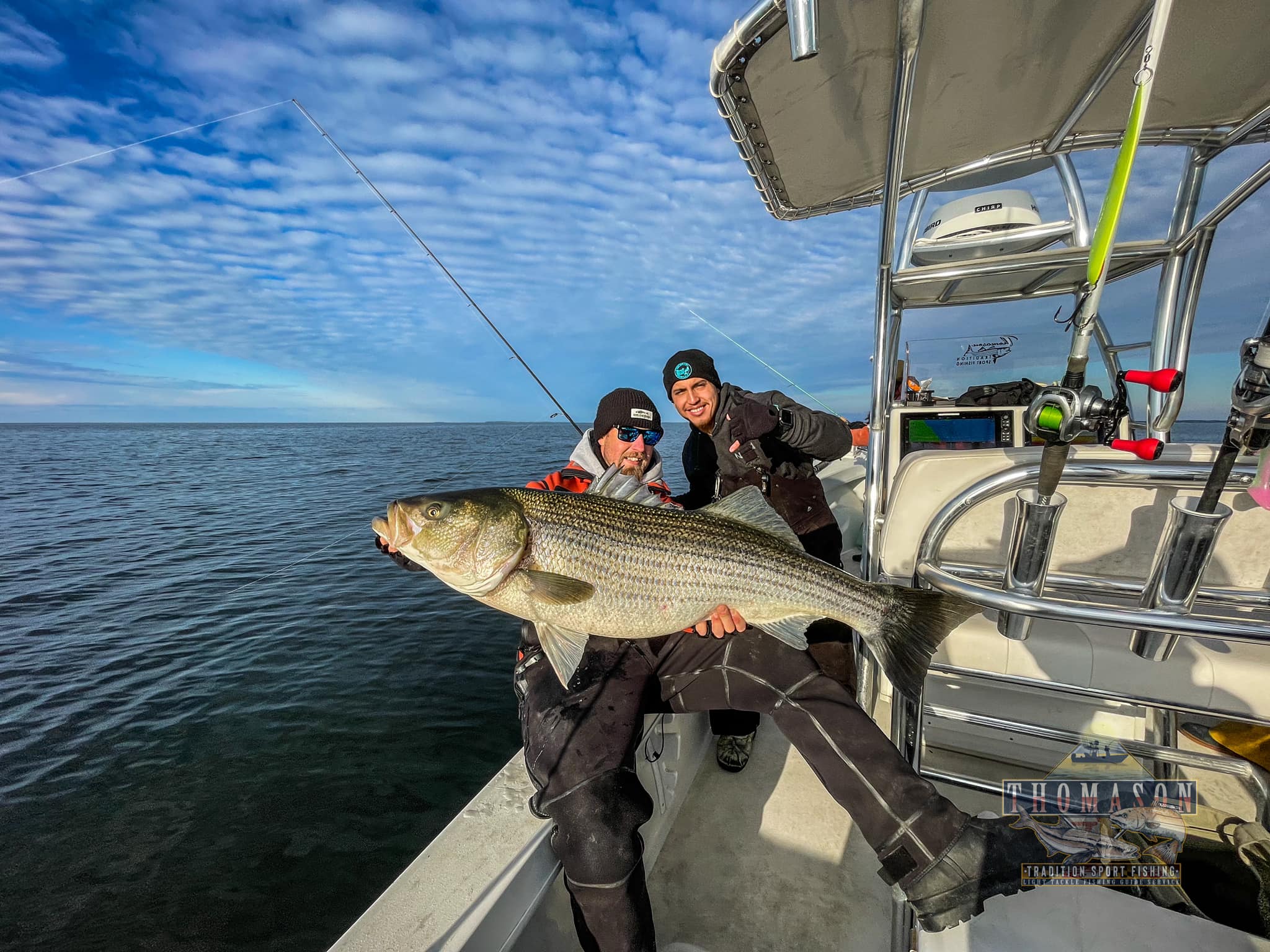 Striped bass caught in VA