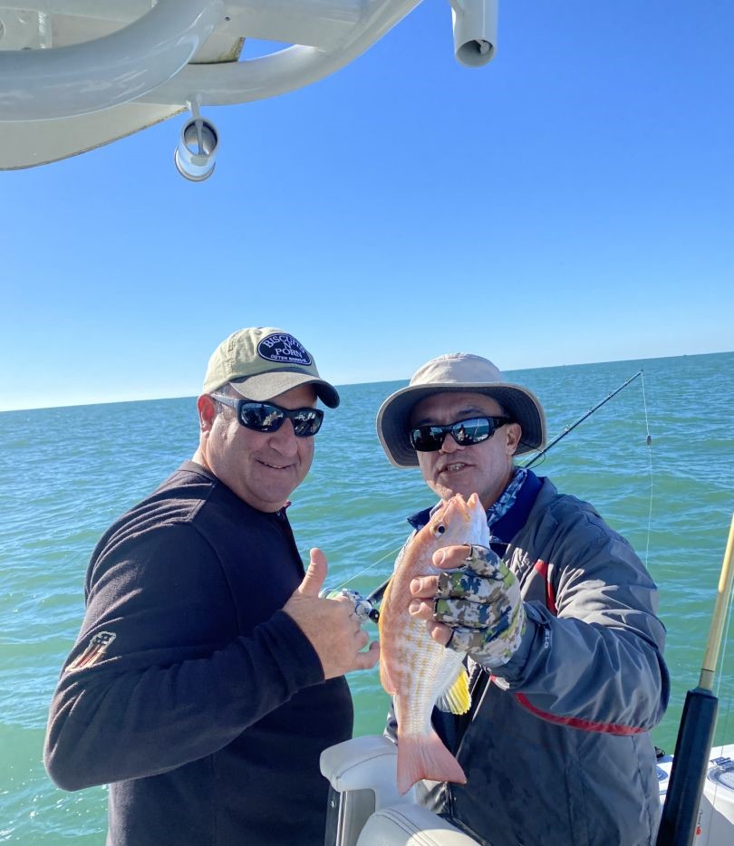 Lane snapper caught during fishing charter in Sarasota FL
