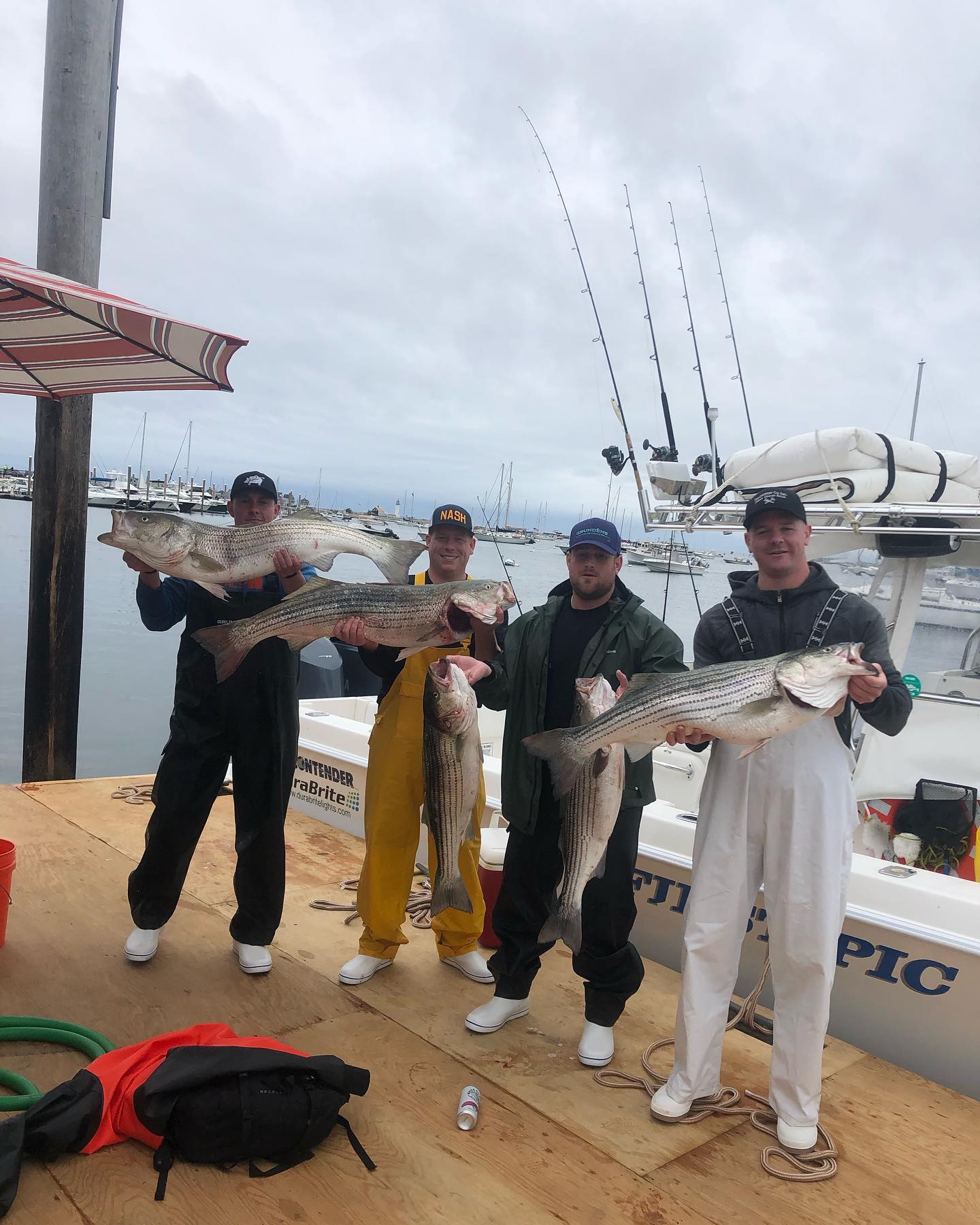 4 striped bass, fishing tour in Scituate