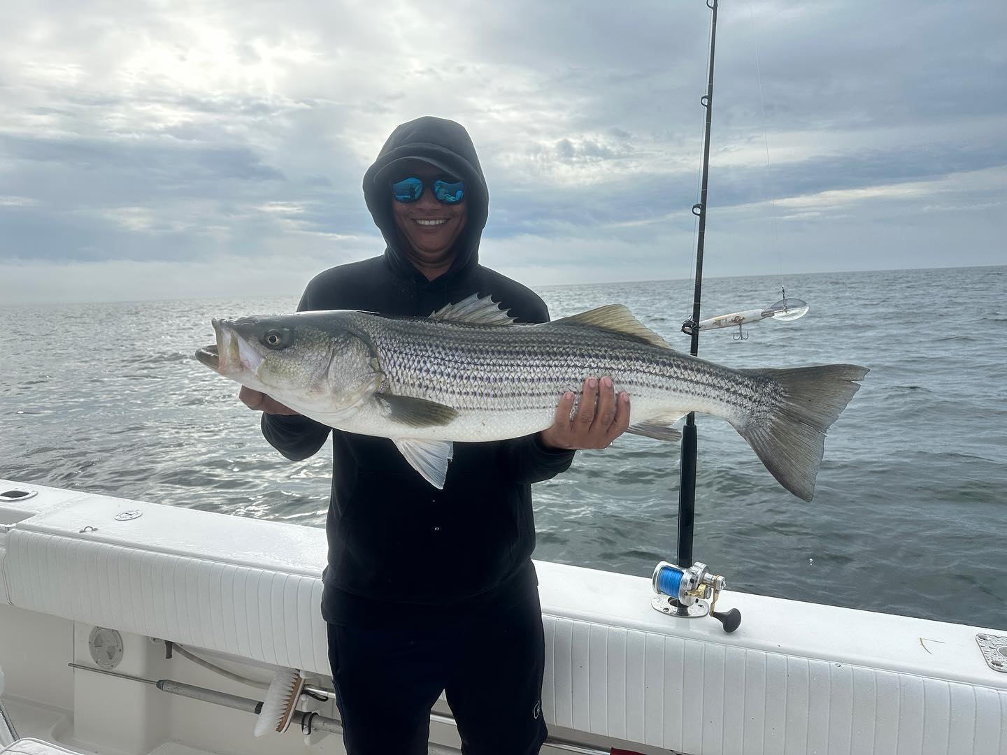 A photo of a striped bass fish caught in MA