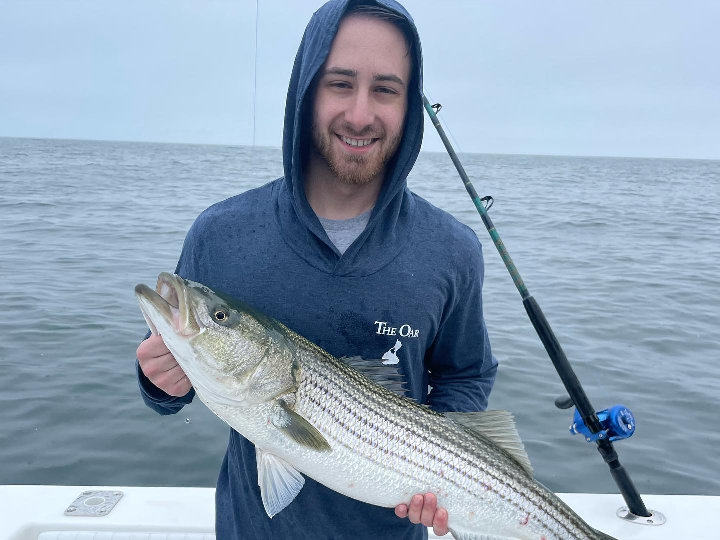 Striped bass caught in MA