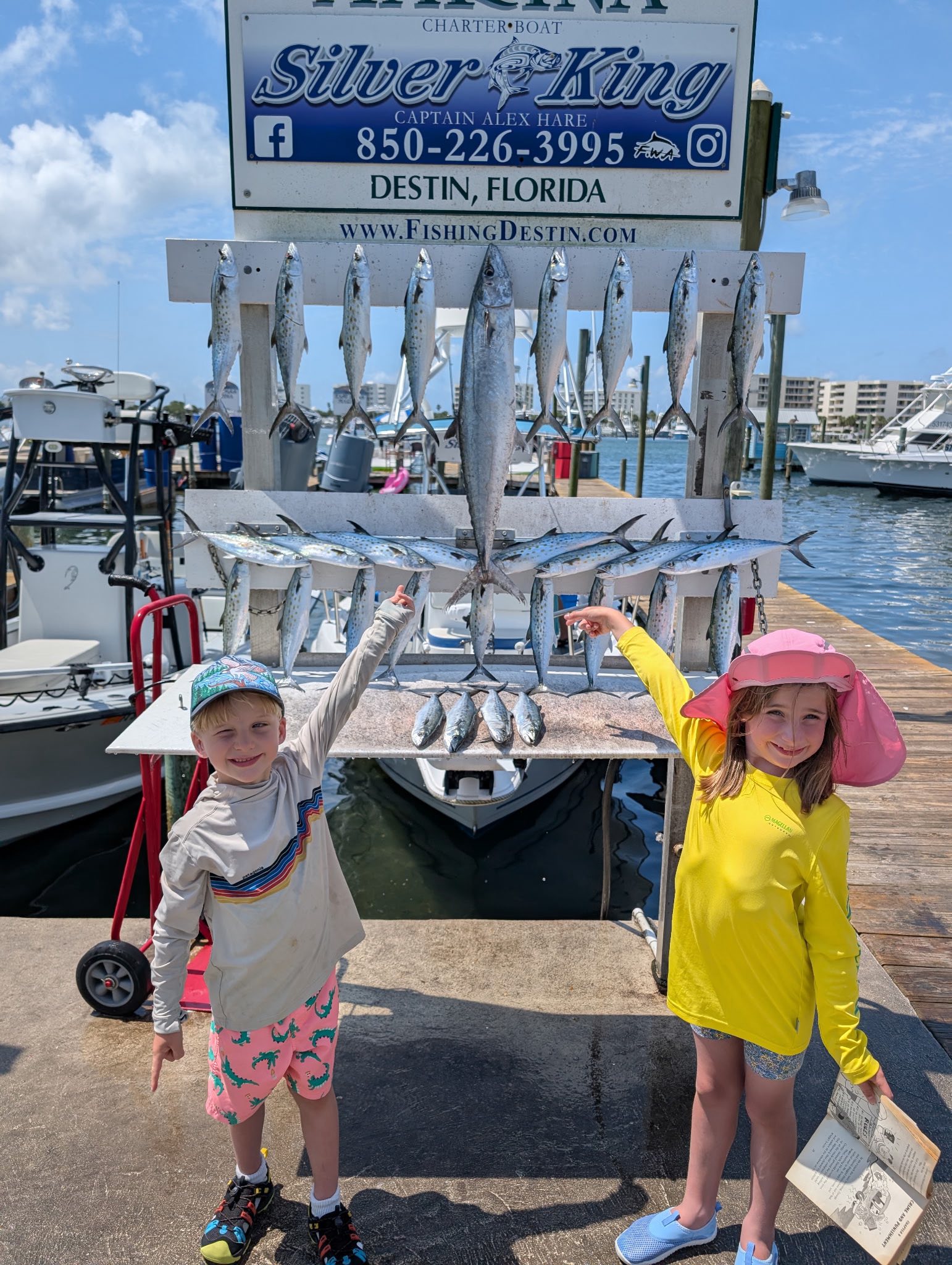 5 large king mackerel and spanish mackerel caught in Fort Walton Beach, Florida