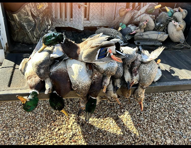 A picturesque hunting scene in OK