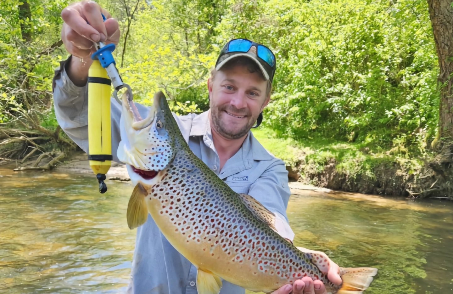 Angler fishing in Blue Ridge