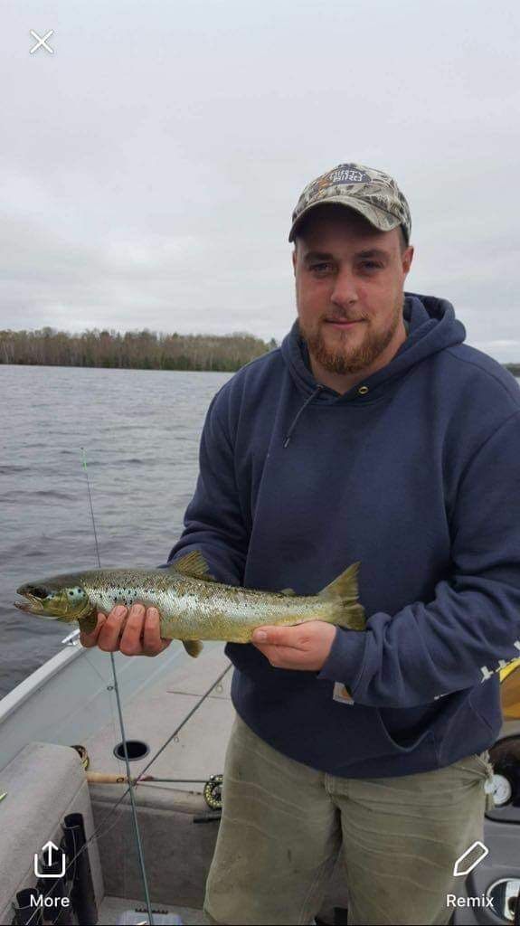 Atlantic Salmon measuring 14 inches, caught in ME