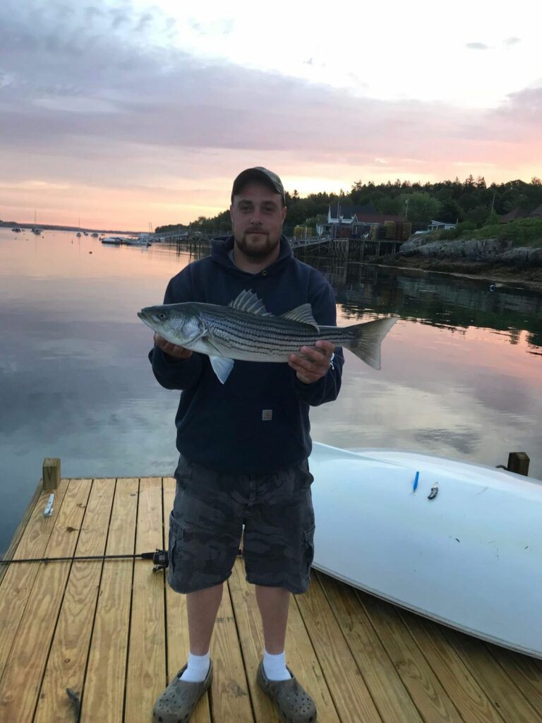 Striped bass caught in Monroe