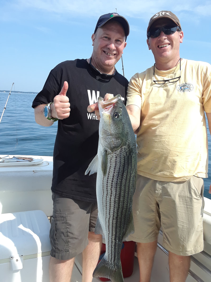 Cape Cod Striped Bass Fishing
