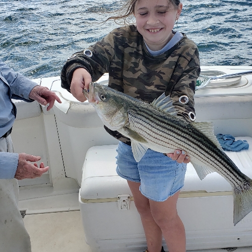 Fish-Species