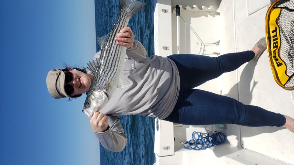 Cape Cod Striped Bass Fishing!