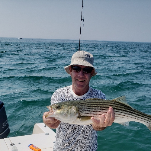 Fish-Species