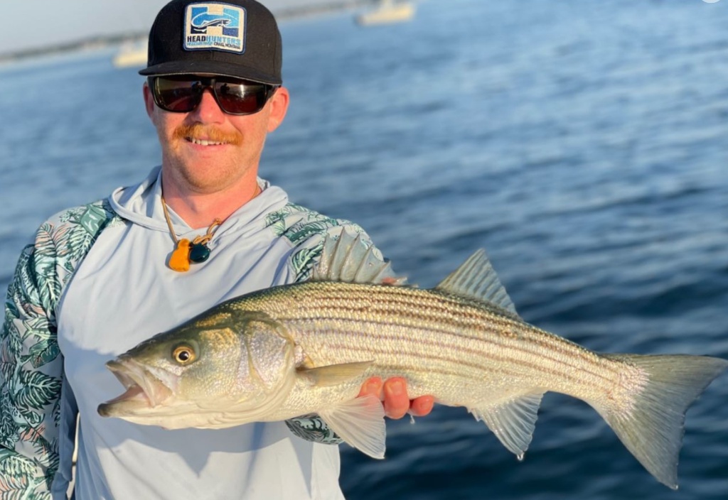 Striped bass caught in MA