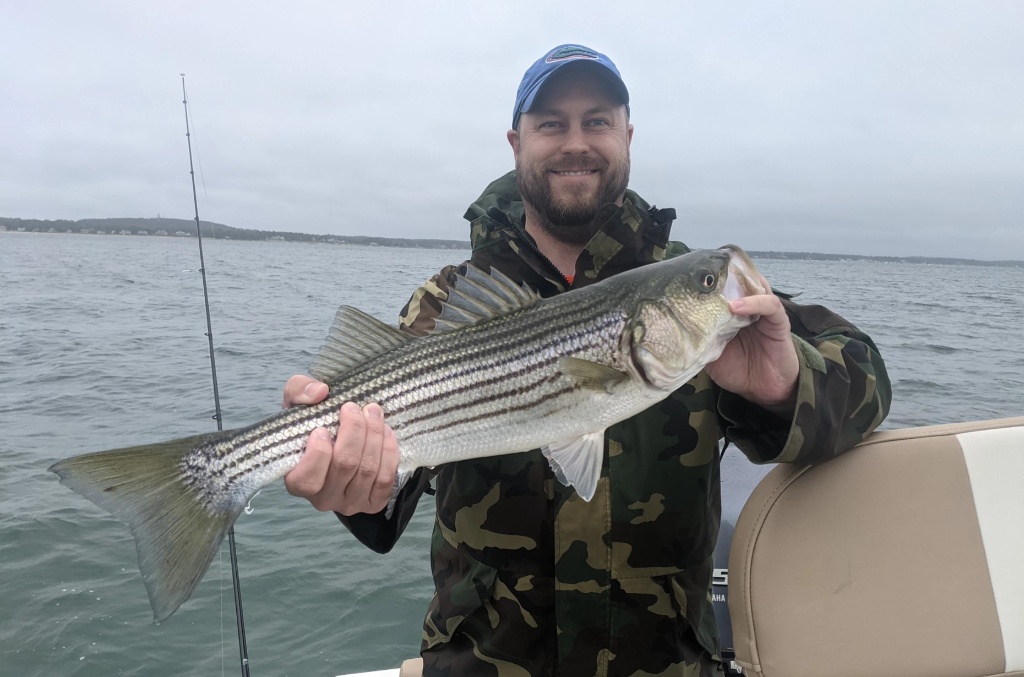 Striped bass caught in Plymouth