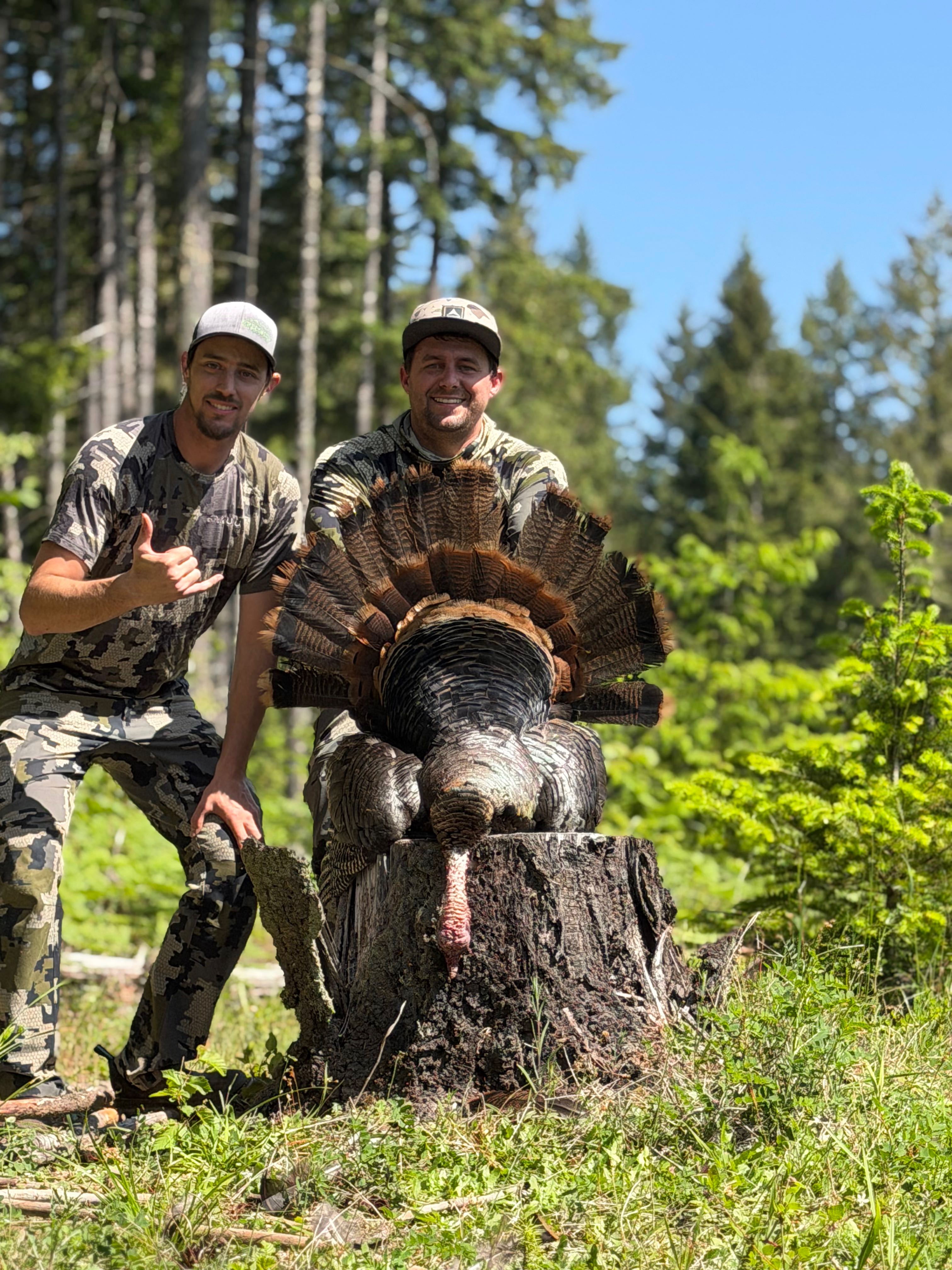 Successful turkey hunting in Winchester Bay OR with harvested wild turkey displayed on tree stump in forest setting