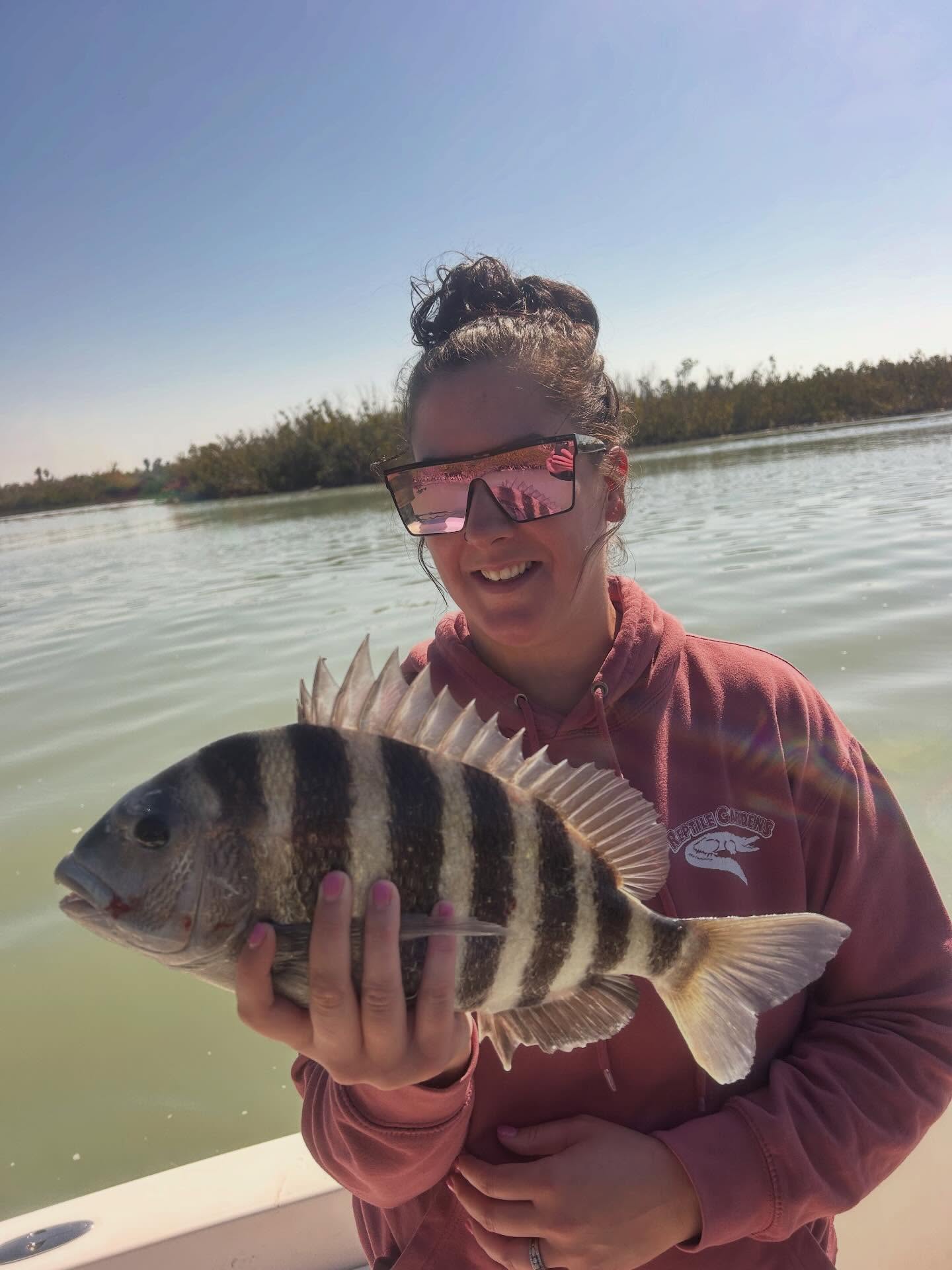 Sheepshead fish caught while fishing in Fort Myers FL