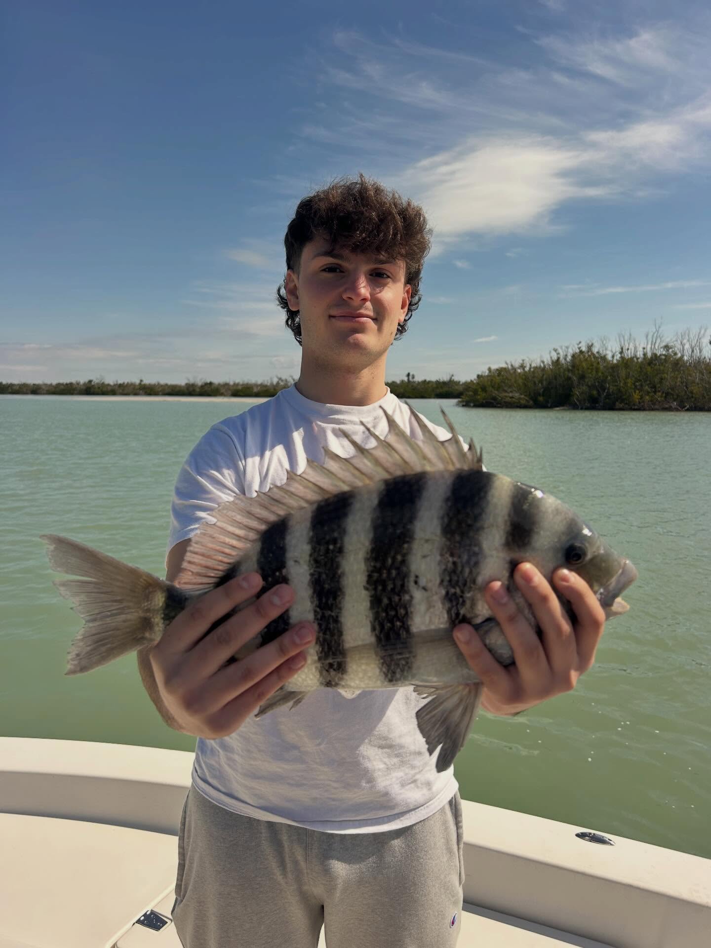 Sheepshead fish caught while fishing in Fort Myers FL