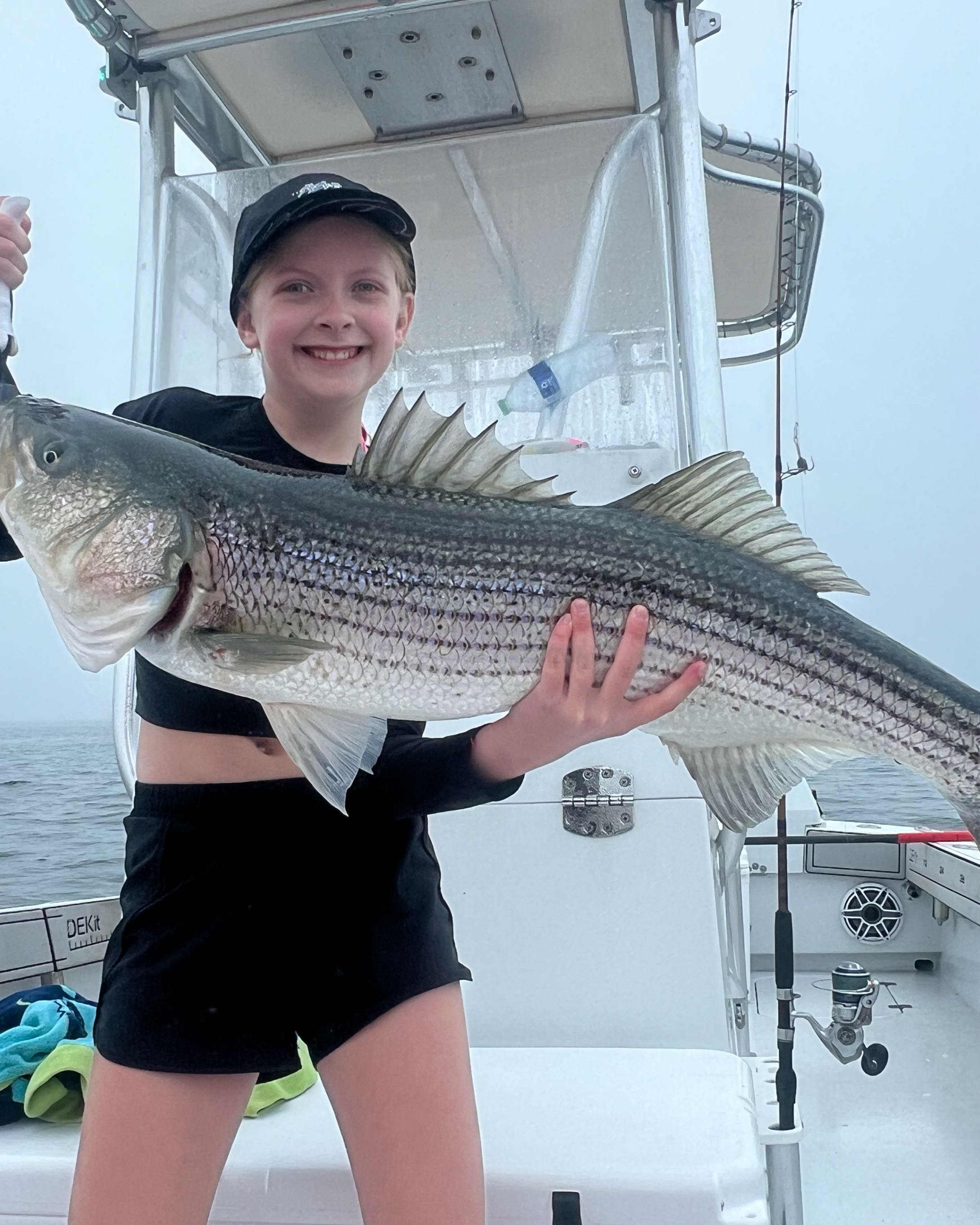 Striped Bass caught in Dennis Port