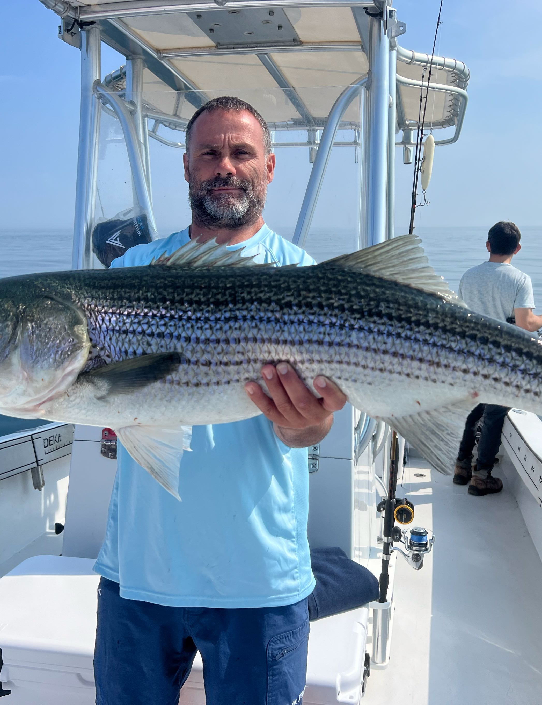 Photo of a 31-inch striped bass caught while fishing in MA