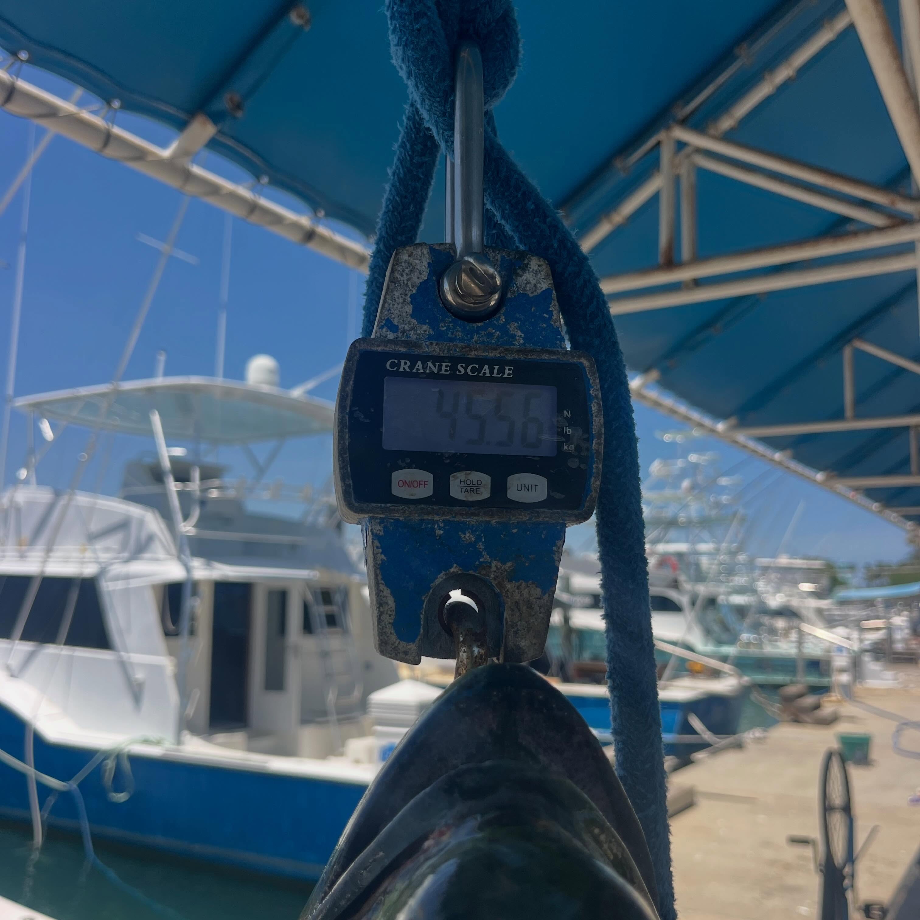 Crane scale displaying weight measurement at Miami FL marina with fishing boats in background