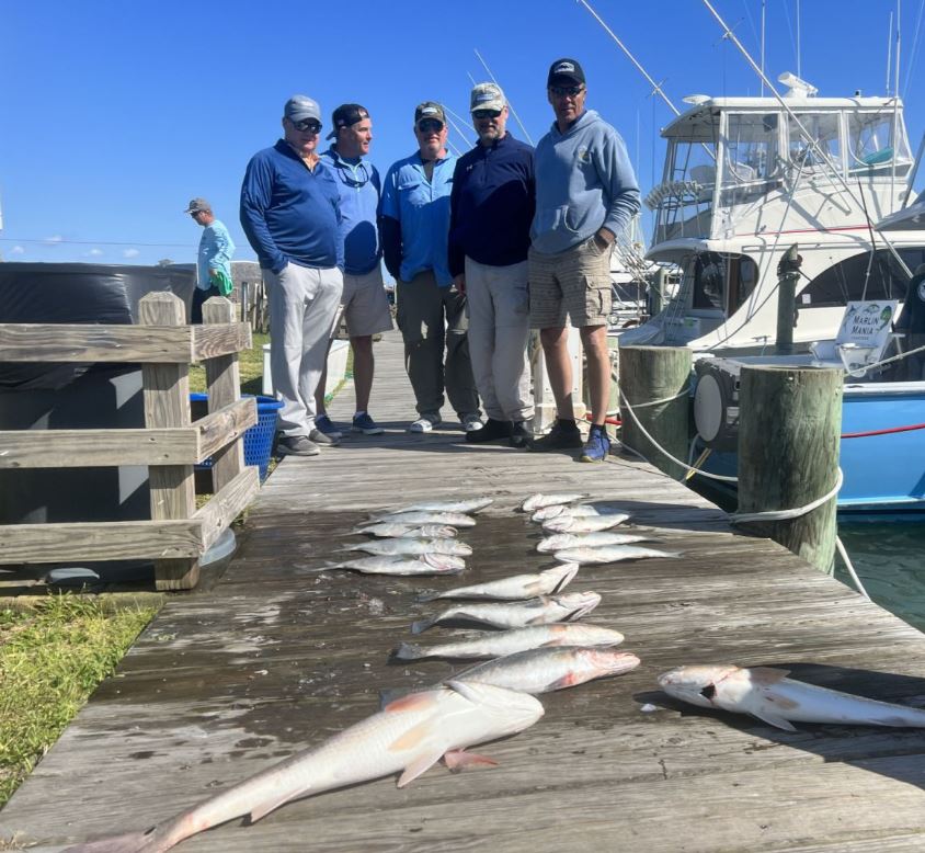 Two big fish caught in Manteo while fishing