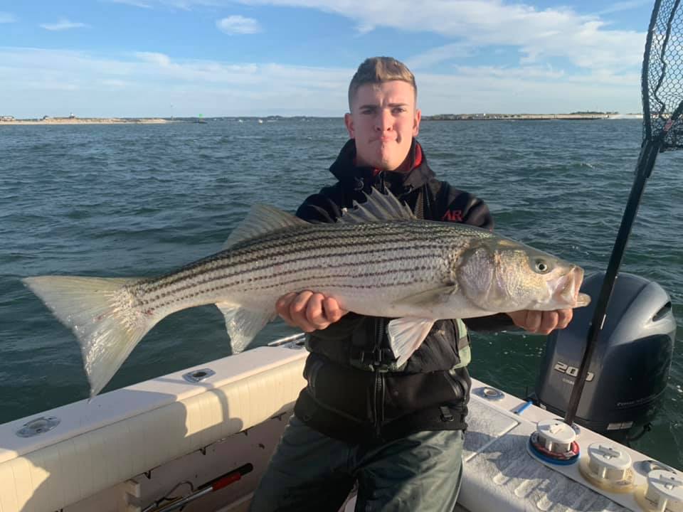 Striped bass caught in East Quogue