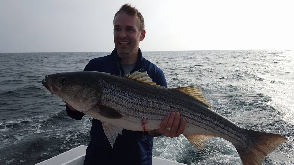 Striped bass caught by angler in Barnstable