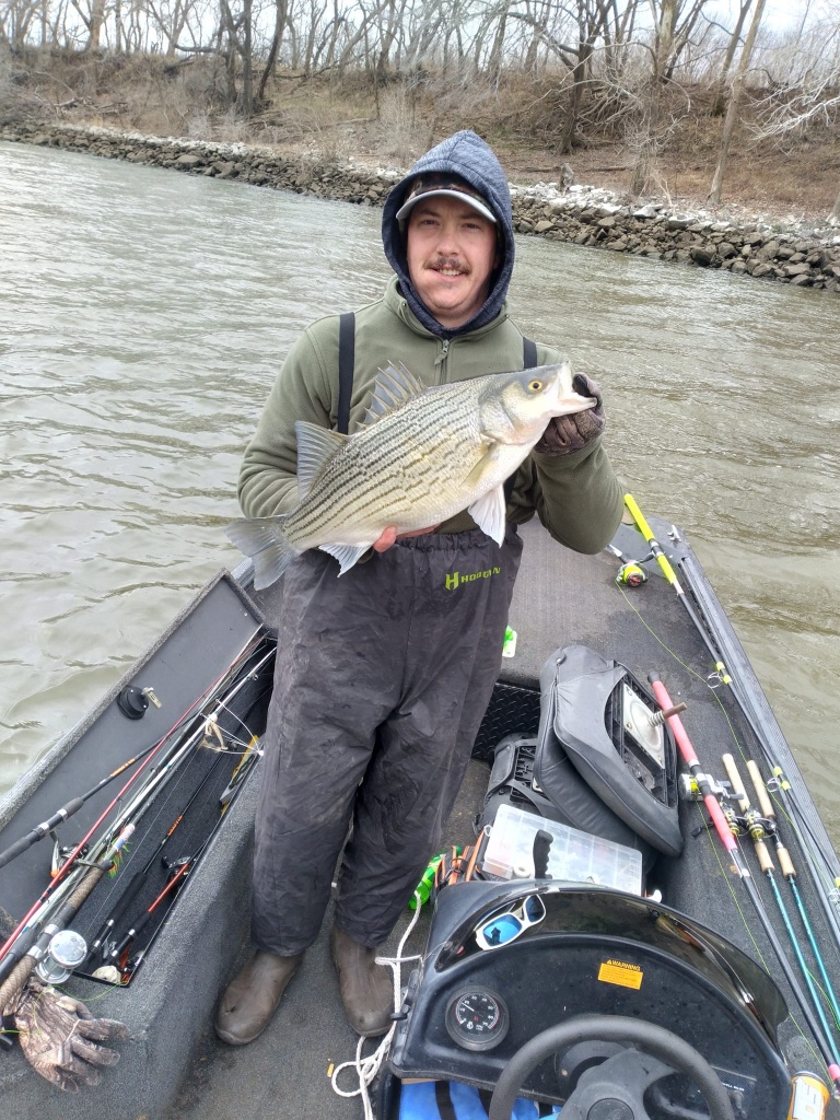 A striped bass fish caught in OK