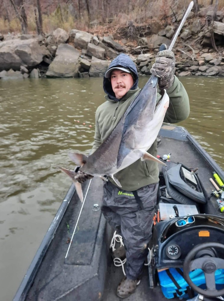 Photograph of a large blue catfish caught in Checotah