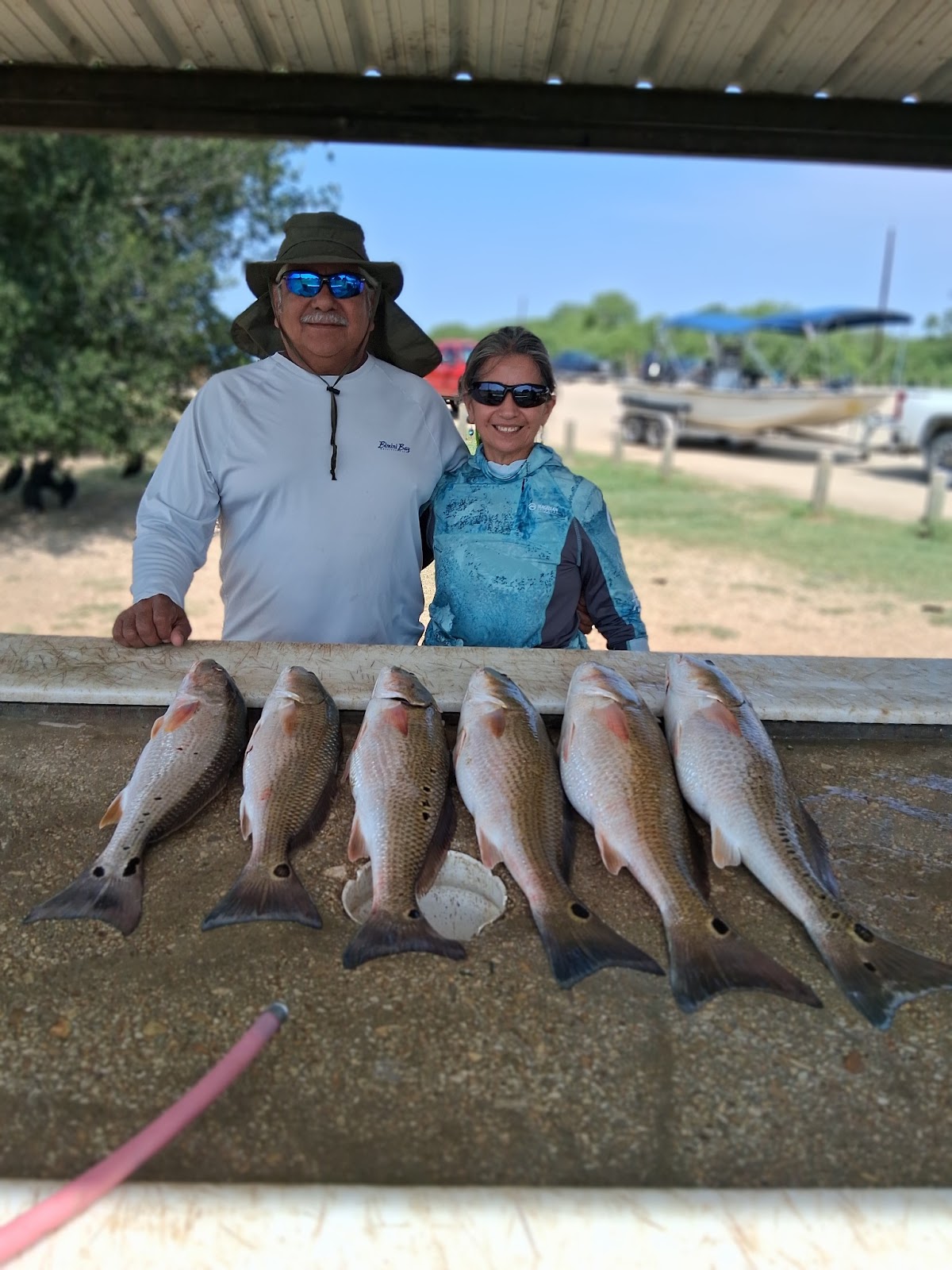 Three Redfish, 16 inches long, caught while fishing in Elmendorf